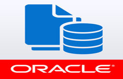 Oracle数据库管理工具有哪些?-北京广发线上平台,广发（中国）公司