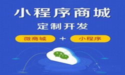 微信小程序开发、商城小程序开发功能-锐智互动广发线上平台,广发（中国）